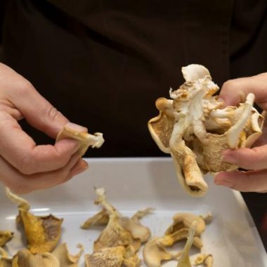 Atelier nourricier : cuisiner une recette sucrée avec des champignons