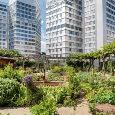 Balade au cœur des jardins familiaux du quartier de Pont de Sèvres