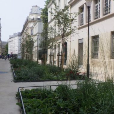 Balade bioclimatique dans le 5e arrondissement