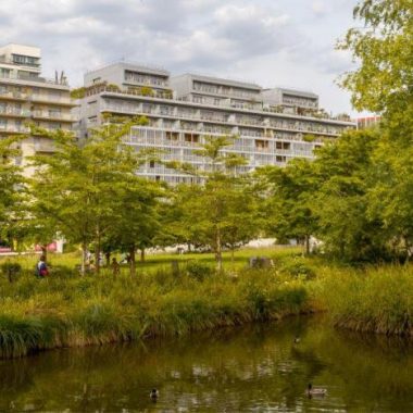 Balade autour du Parc de Billancourt
