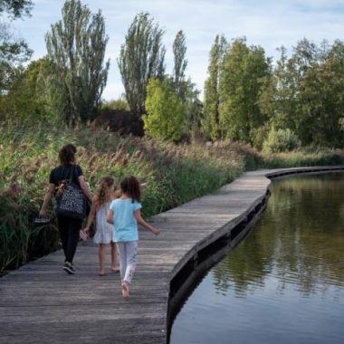 Balade ludique  – A la recherche des espèces du lac de Créteil !