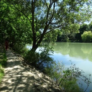 Balade nature au fil de la Marne