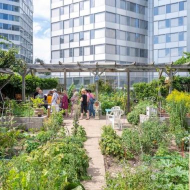 Balade nature en ville- Boulogne Billancourt