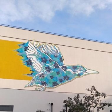 Balade street art à Champigny – FESTIVAL PHENOMEN’ART