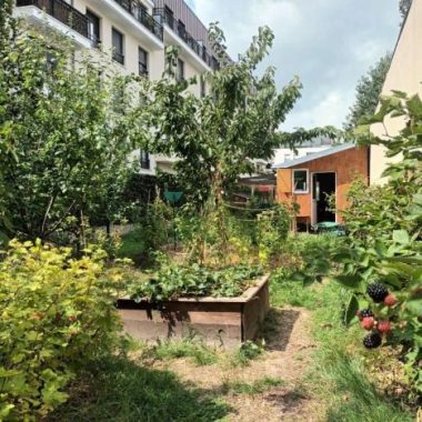 Balade urbaine et biodiversité dans le sud de Paris