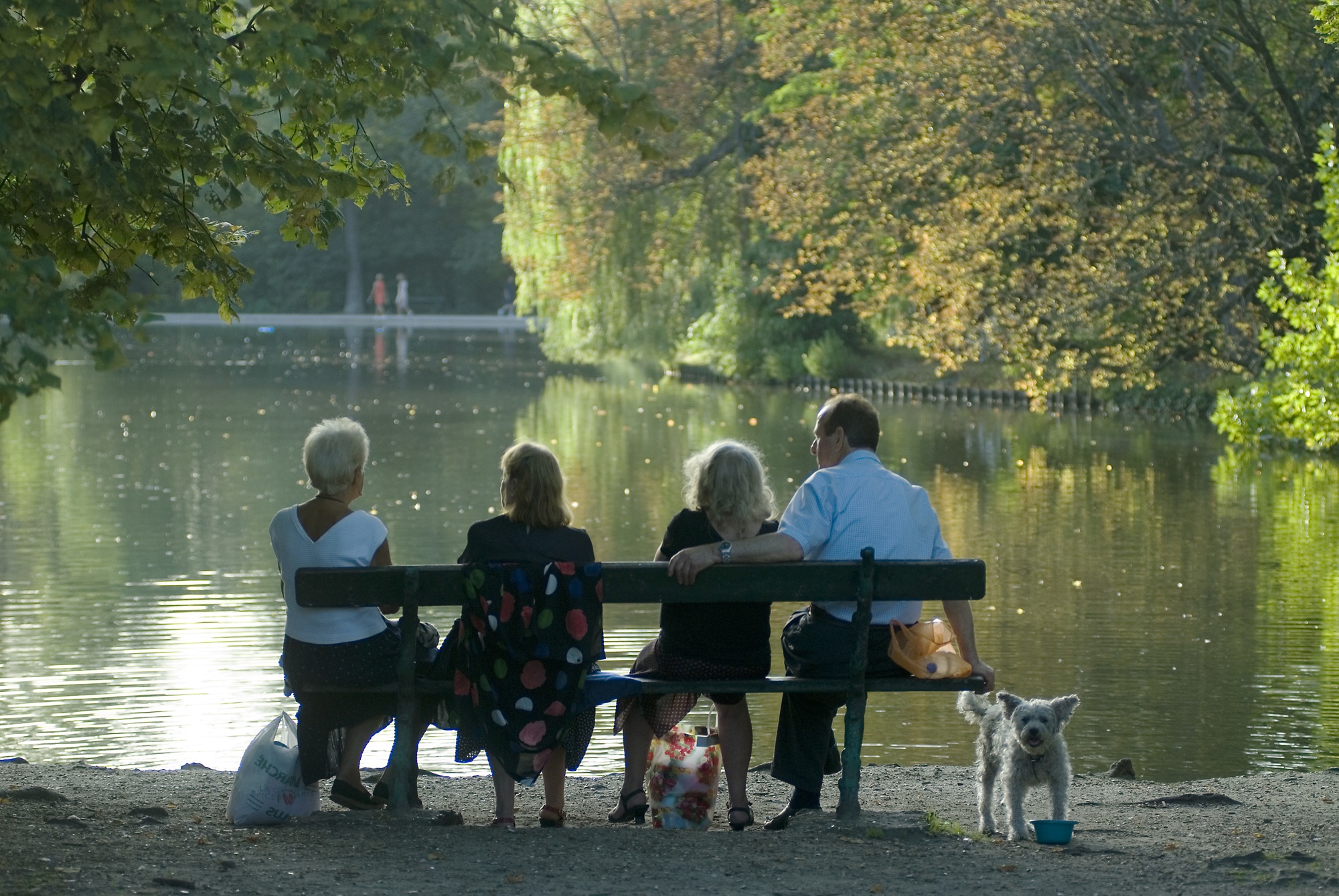 Bois De Vincennes à Vincennes Val De Marne Tourisme