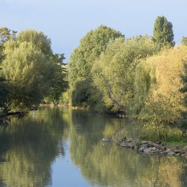 BRAS DU CHAPITRE