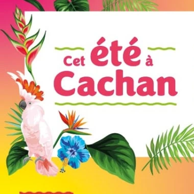 Cinéma en plein air – l’été à Cachan