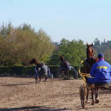 CENTRE D’ENTRAINEMENT DES CHEVAUX TROTTEURS DE GROSBOIS