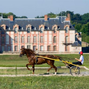 Dans les coulisses du centre d’entraînement hippique de Grosbois