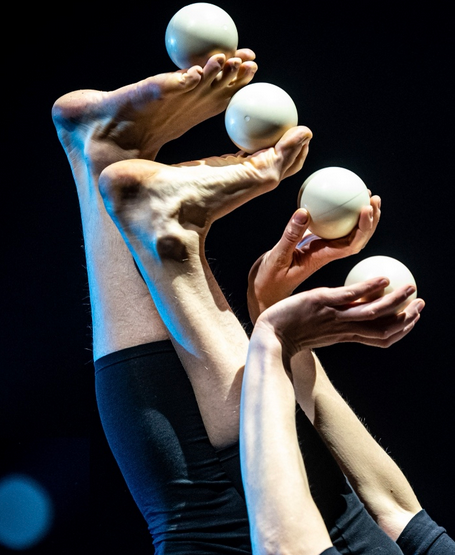 FESTIVAL MONDIAL DU CIRQUE DE DEMAIN
