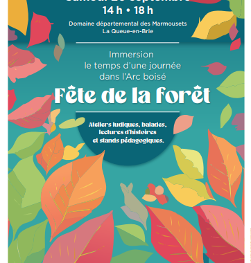 Fête de la Forêt