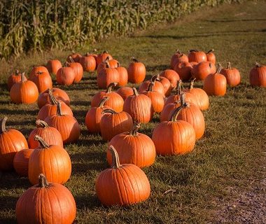 Halloween en Val-de-Marne