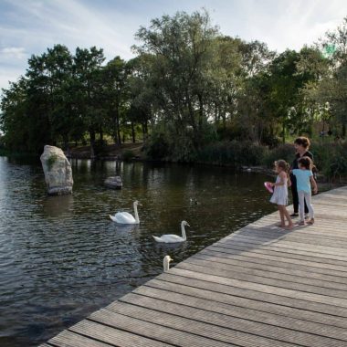 Dans mon parc en automne – Ile de loisirs de Créteil