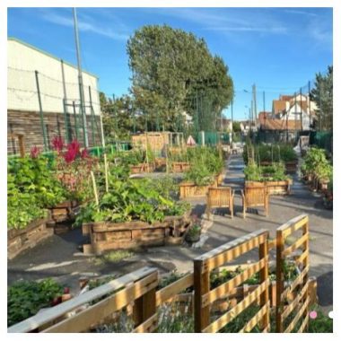 Immersion au cœur d’un jardin partagé à Rueil-Malmaison