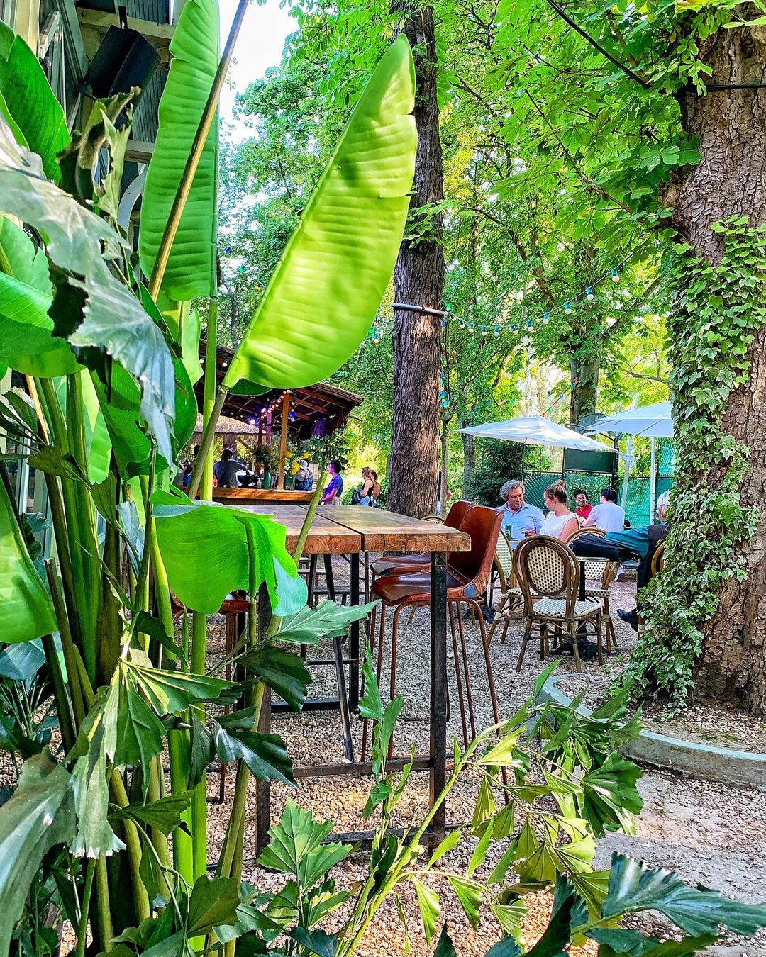 NOUVEAU CHALET DU LAC