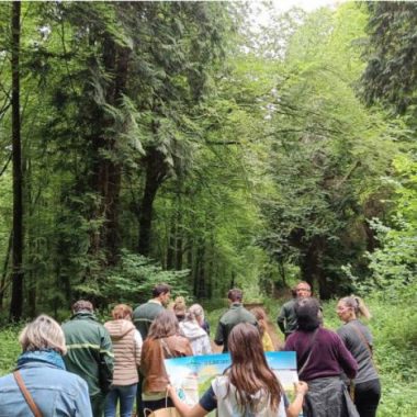 La Forêt Vivante