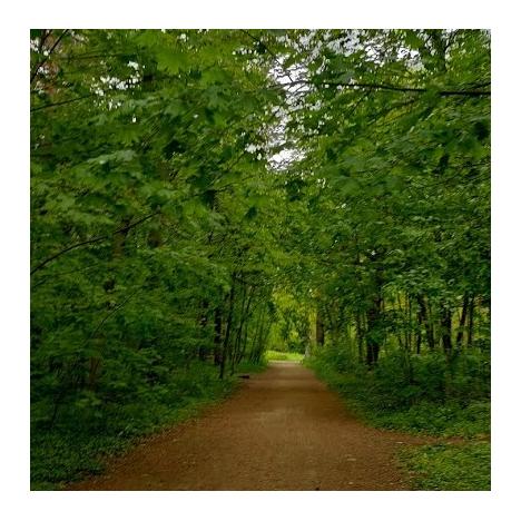 Marche et méditation au Bois - Vincennes Du 26 mai au 7 juil 2024