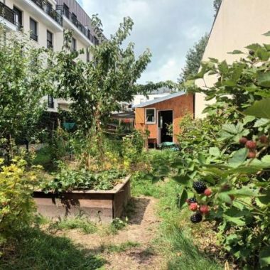 La ville côté nature : biodiversité au Sud de Paris
