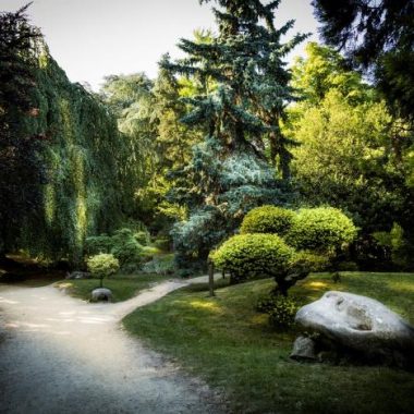 Le nom des plantes au Parc Rothschild de Boulogne