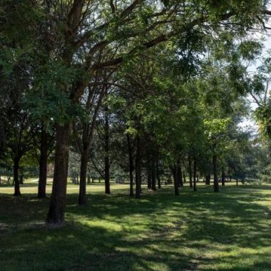 Le Parc du Tremblay, sur les traces d’un hippodrome disparu