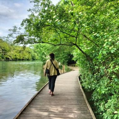 Les arbres des bords de Marne,  une végétation singulière