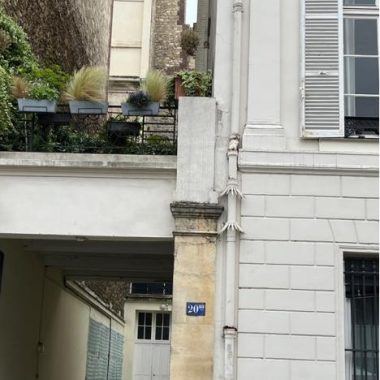 Les  gouttières parisiennes :  observation et étonnement