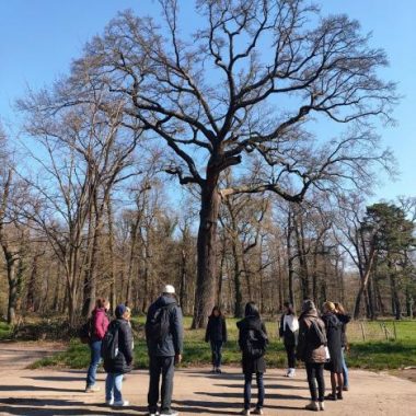 Marche et méditation au Bois – Au bord du lac