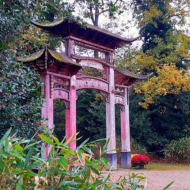 Marche et méditation au Bois – Jardin d’agronomie tropicale