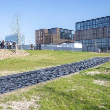 Mini-visite Un mardi – une œuvre : « Empreinte de pneu »