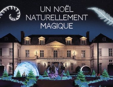Un Noël naturellement magique à Sucy