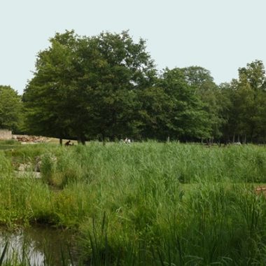 PARC DÉPARTEMENTAL DES MARMOUSETS