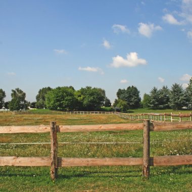 Fête de la nature et du Bien-être animal au Parc des Bordes