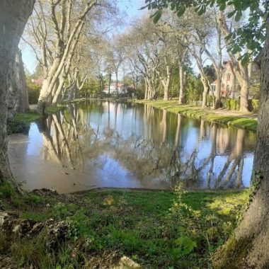 Paris-Jardins à Draveil – Printemps des cités-jardins 2024