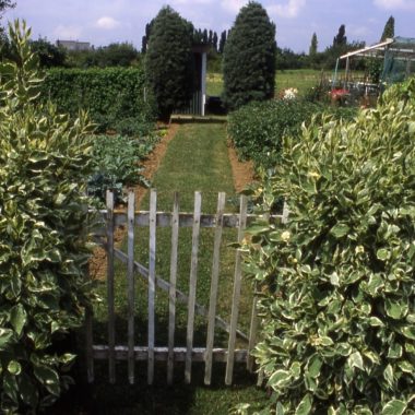 LE PAVÉ DE GRIGNON – JARDINS FAMILLIAUX DE THIAIS