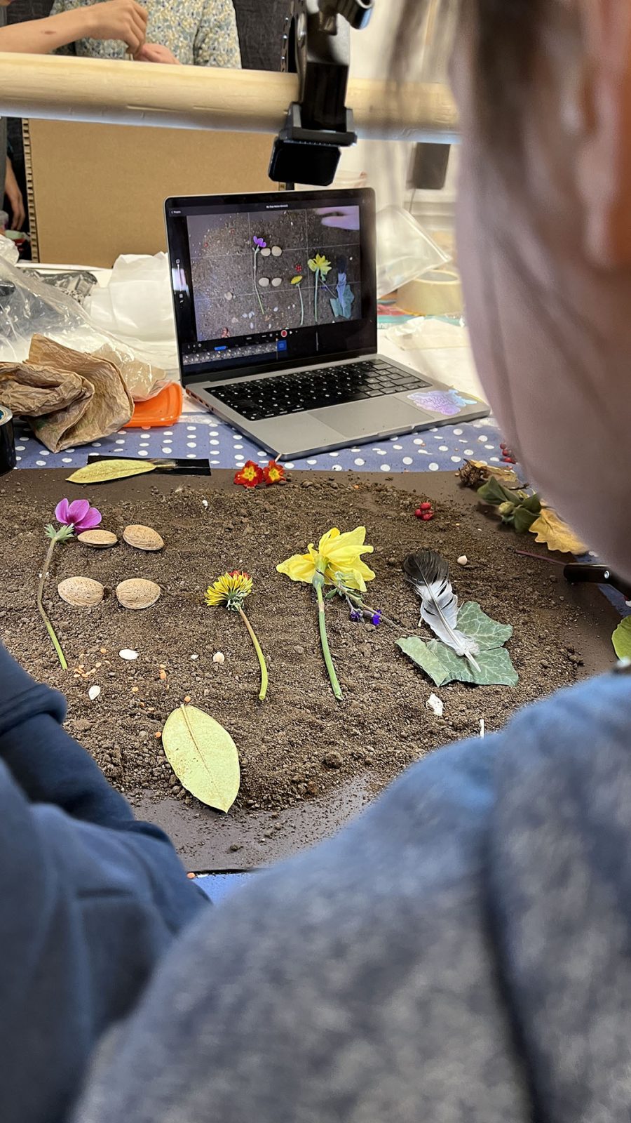 Atelier : S’émerveiller face au vivant en fabriquant un film d’animation