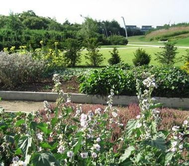 Fête de la biodivesité au parc des Hautes-Bruyères