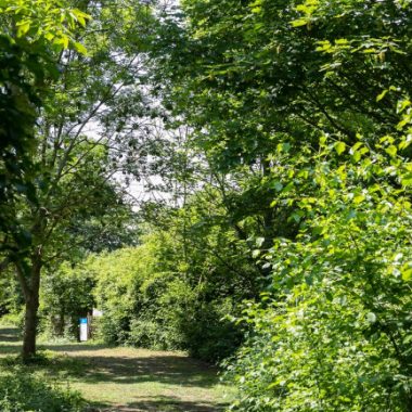 Fête de la nature au Parc de la Pierre-Fitte