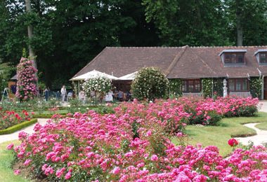 ROSERAIE DU VAL-DE-MARNE