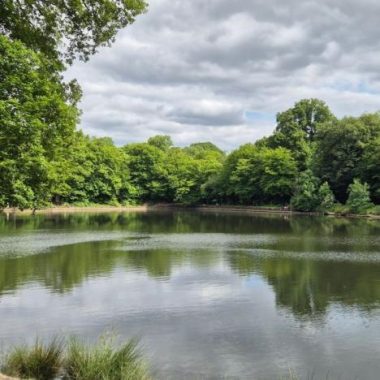 Parcours Hydraulique de Meudon, « Secrets d&rsquo;Eau en Forêt »