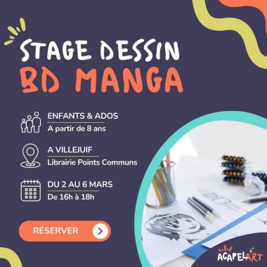 Stage de Dessin Manga