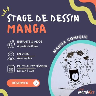 Stage de dessin manga visio : Manga comique !