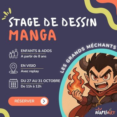 Stage en visio de dessin manga : Les grands méchants