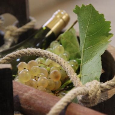 Visites des caves à vin du Fort de Sucy-en-Brie