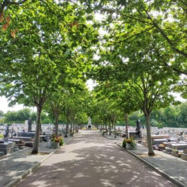 Visite du cimetière de Champigny-sur-Marne – Printemps des cimetières