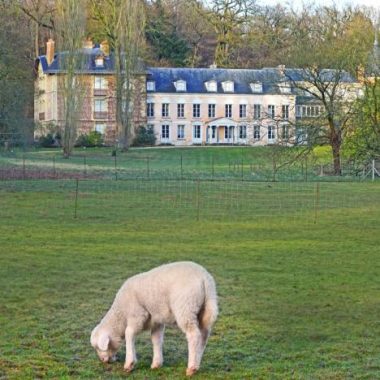 Visite guidée de l&rsquo;Arboretum au Domaine départemental de la Vallée-aux-Loups