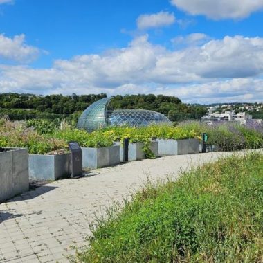 Visite guidée de la Ferme urbaine de Métal 57