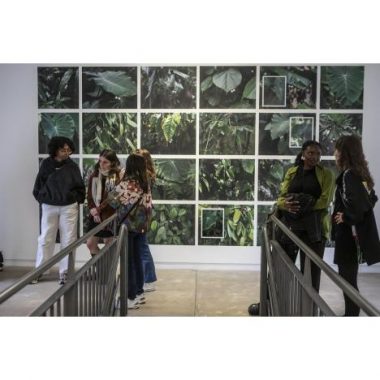 Visite jeu de piste : la route des épices