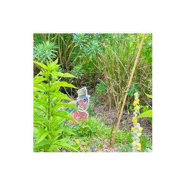 Visite thématique en famille : Le jardin des drôles de petites bêtes au domaine national de Saint-Cloud